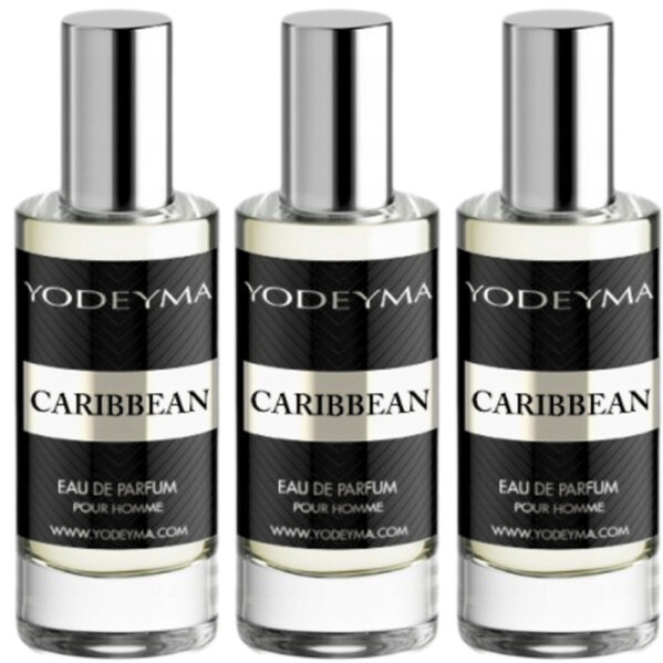 3x YODEYMA CARIBBEAN 15ML WODA PERFUMOWANA MĘSKA PERFUMY DLA MĘŻCZYZN - obrazek 6