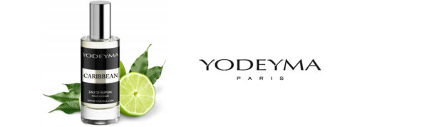 3x YODEYMA CARIBBEAN 15ML WODA PERFUMOWANA MĘSKA PERFUMY DLA MĘŻCZYZN - obrazek 7