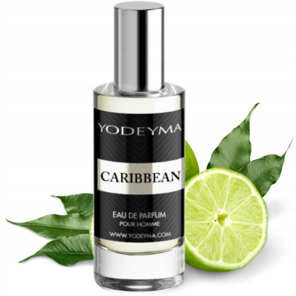 3x YODEYMA CARIBBEAN 15ML WODA PERFUMOWANA MĘSKA PERFUMY DLA MĘŻCZYZN - obrazek 5